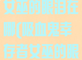 吸血鬼幸存者女巫的眼泪在哪(吸血鬼幸存者女巫的眼泪在哪获得)