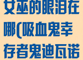 吸血鬼幸存者女巫的眼泪在哪(吸血鬼幸存者鬼迪瓦诺)