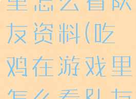 吃鸡在游戏里怎么看队友资料(吃鸡在游戏里怎么看队友资料信息)