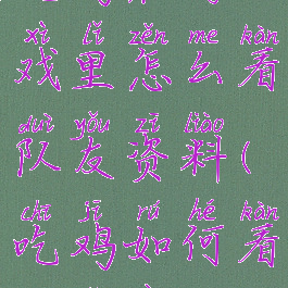 吃鸡在游戏里怎么看队友资料(吃鸡如何看队友信息)