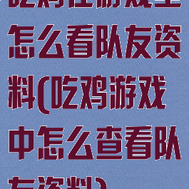 吃鸡在游戏里怎么看队友资料(吃鸡游戏中怎么查看队友资料)
