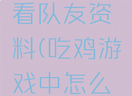 吃鸡在游戏里怎么看队友资料(吃鸡游戏中怎么看队友信息)