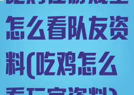 吃鸡在游戏里怎么看队友资料(吃鸡怎么看玩家资料)