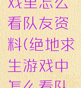 吃鸡在游戏里怎么看队友资料(绝地求生游戏中怎么看队友资料)