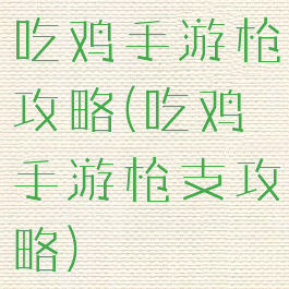 吃鸡手游枪攻略(吃鸡手游枪支攻略)