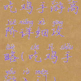 吃鸡手游高阶详细攻略(吃鸡手游入门)