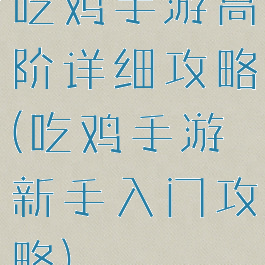 吃鸡手游高阶详细攻略(吃鸡手游新手入门攻略)