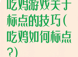吃鸡游戏关于标点的技巧(吃鸡如何标点?)