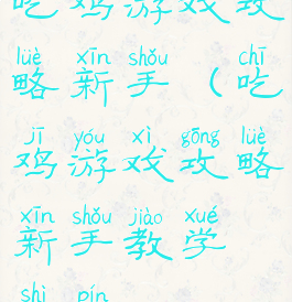 吃鸡游戏攻略新手(吃鸡游戏攻略新手教学视频)