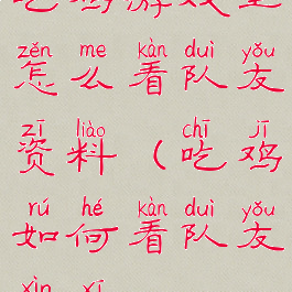 吃鸡游戏里怎么看队友资料(吃鸡如何看队友信息)