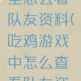 吃鸡游戏里怎么看队友资料(吃鸡游戏中怎么查看队友资料)