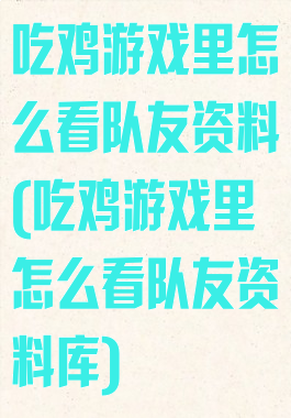 吃鸡游戏里怎么看队友资料(吃鸡游戏里怎么看队友资料库)