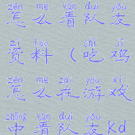 吃鸡游戏里怎么看队友资料(吃鸡怎么在游戏中看队友kd)