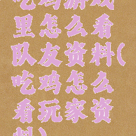 吃鸡游戏里怎么看队友资料(吃鸡怎么看玩家资料)