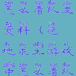 吃鸡游戏里怎么看队友资料(绝地求生游戏中怎么看队友资料)