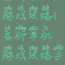 各种单机游戏攻略(各种单机游戏攻略手机版)