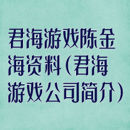 君海游戏陈金海资料(君海游戏公司简介)