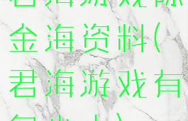 君海游戏陈金海资料(君海游戏有多少人)