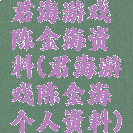 君海游戏陈金海资料(君海游戏陈金海个人资料)
