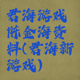 君海游戏陈金海资料(君海新游戏)