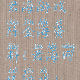 君海游戏陈金海资料(君海网络游戏)