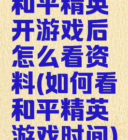 和平精英开游戏后怎么看资料(如何看和平精英游戏时间)