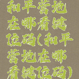 和平营地在哪看键位码(和平营地在哪看键位码)