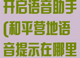 和平营地如何开启语音助手(和平营地语音提示在哪里设置)