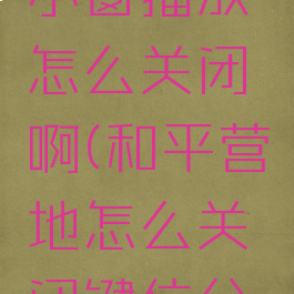 和平营地小窗播放怎么关闭啊(和平营地怎么关闭键位分享)