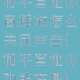 和平营地小窗播放怎么关闭声音(和平营地小功能在哪)