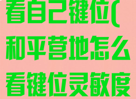 和平营地怎么看自己键位(和平营地怎么看键位灵敏度)