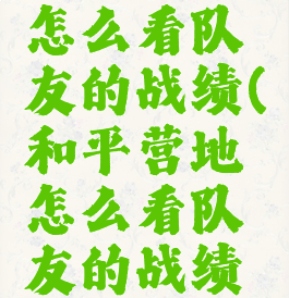 和平营地怎么看队友的战绩(和平营地怎么看队友的战绩视频)