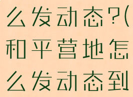 和平营地怎么发动态?(和平营地怎么发动态到游戏)