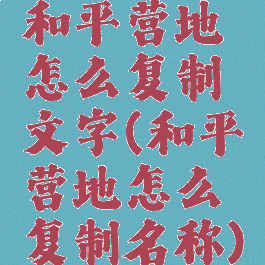 和平营地怎么复制文字(和平营地怎么复制名称)