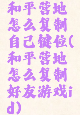 和平营地怎么复制自己键位(和平营地怎么复制好友游戏id)