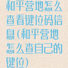 和平营地怎么查看键位码信息(和平营地怎么查自己的键位)
