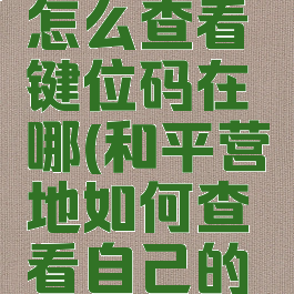 和平营地怎么查看键位码在哪(和平营地如何查看自己的键位)