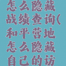 和平营地怎么隐藏战绩查询(和平营地怎么隐藏自己的访问记录)