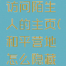 和平营地怎么隐身访问陌生人的主页(和平营地怎么隐藏自己访问别人)