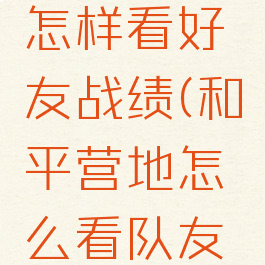 和平营地怎样看好友战绩(和平营地怎么看队友的战绩)