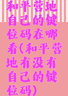 和平营地自己的键位码在哪看(和平营地有没有自己的键位码)