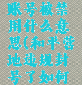 和平营地账号被禁用什么意思(和平营地违规封号了如何解开)