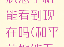 和平营地隐藏在线状态手机能看到现在吗(和平营地能看到隐藏的战绩吗)