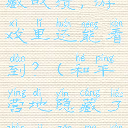 和平营地隐藏战绩,游戏里还能看到?(和平营地隐藏了战绩怎么看)