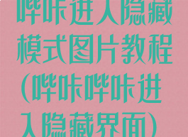 哔咔进入隐藏模式图片教程(哔咔哔咔进入隐藏界面)