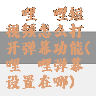 哔哩哔哩短视频怎么打开弹幕功能(哔哩哔哩弹幕设置在哪)