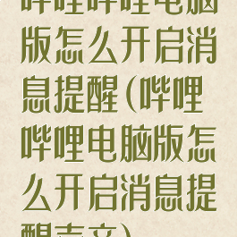 哔哩哔哩电脑版怎么开启消息提醒(哔哩哔哩电脑版怎么开启消息提醒声音)