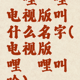 哔哩哔哩电视版叫什么名字(电视版哔哩哔哩叫啥)