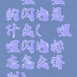 哔哩哔哩的闪电是什么(哔哩哔哩闪电标志怎么得到)