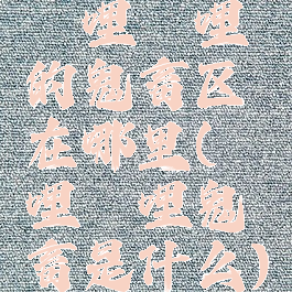 哔哩哔哩的鬼畜区在哪里(哔哩哔哩鬼畜是什么)